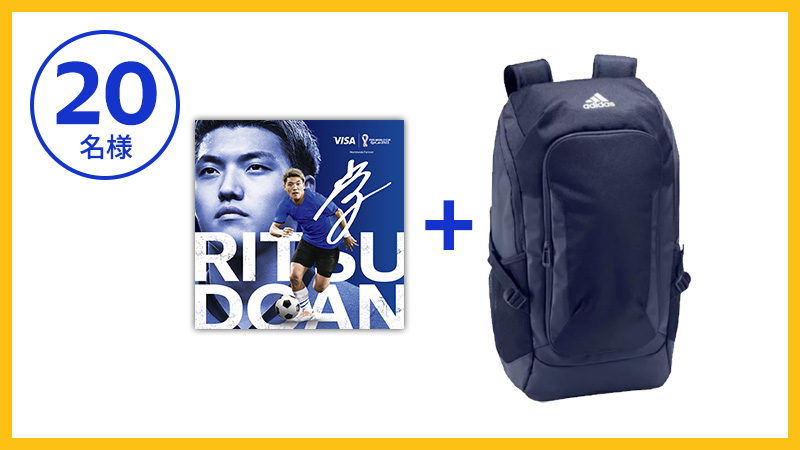 800x450-visa-mcd-lp-mcdxvisa-5